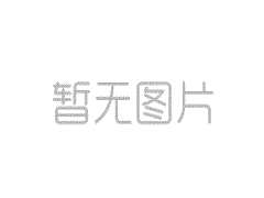 成都市磨子桥小学召开2019年度党建述职报告会“yabo亚搏手机最新版app”